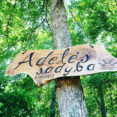Adeles Sodyba Sturmai Exterior photo